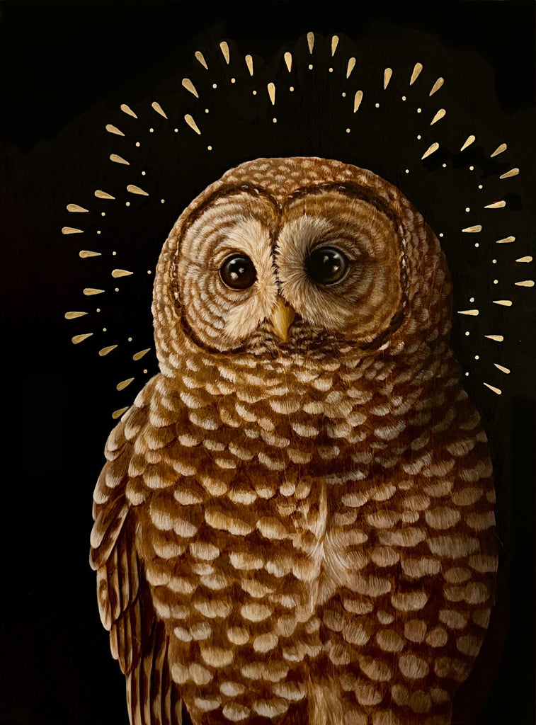 Kristin Bell - Northern Spotted Owl