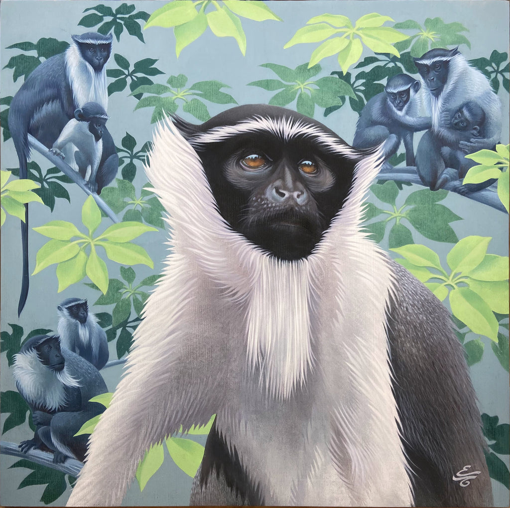 Elise Toublanc - Memories of a Kola Tree (cercopithecus)