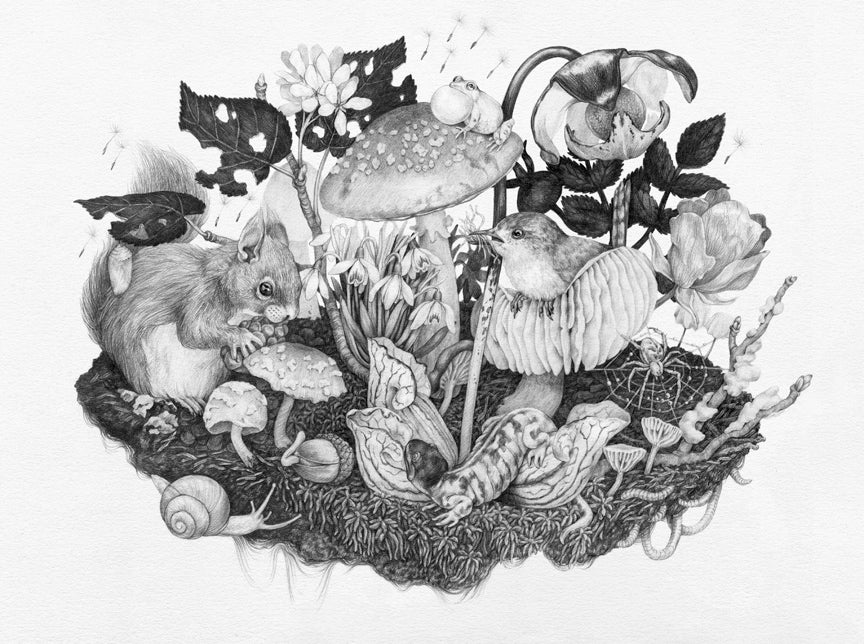 Zoe Keller - Mushroomscape